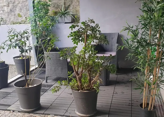 Grace City Hotel Porto